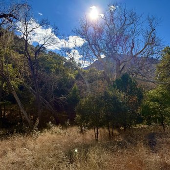 Ramsey Canyon Preserve - Hiking Near Me - Hereford, Arizona