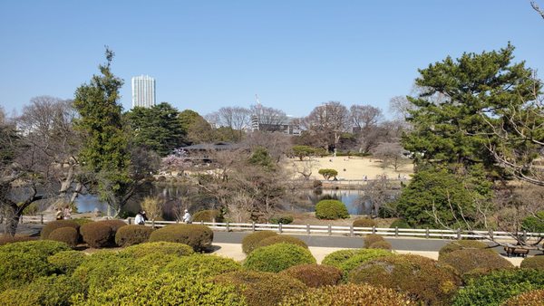 Shinjuku Gyoen National Garden by null
