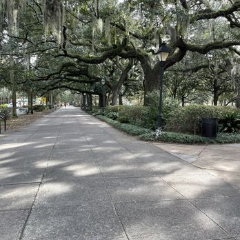 Forsyth Park - Love the souther charm of the weepy trees!  (12/17/2022) - Parks Near Me - Savannah, Georgia