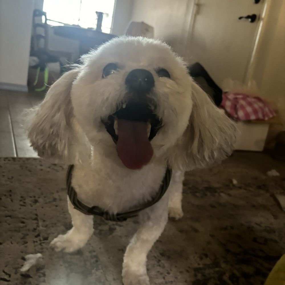 Happy boy Happy boy