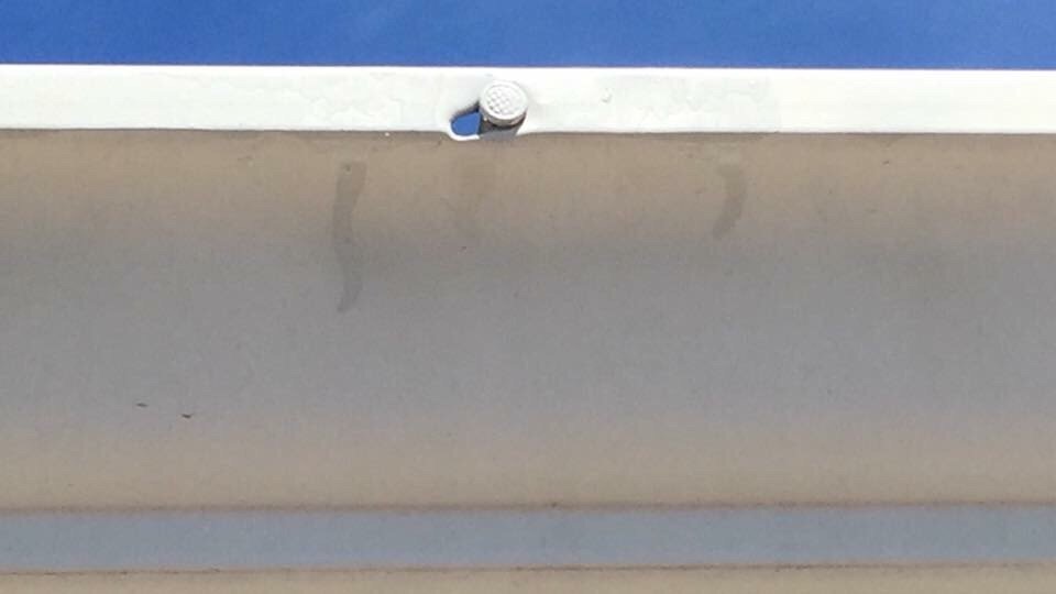 Slide of Rhyne Restoration