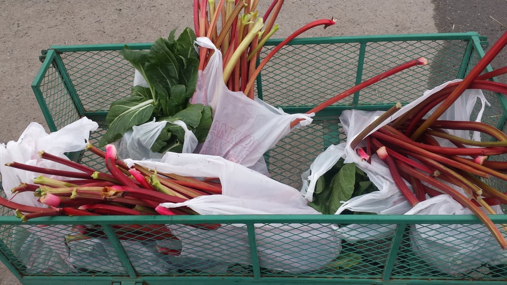 PYRAH’S PIONEER PEAK FARM Updated August 2024 11 Photos 4350 S