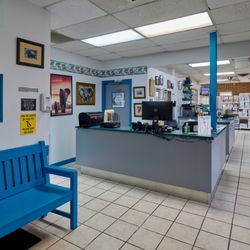 Country Club Country Pet Clinic Country Club Animal Clinic Gift