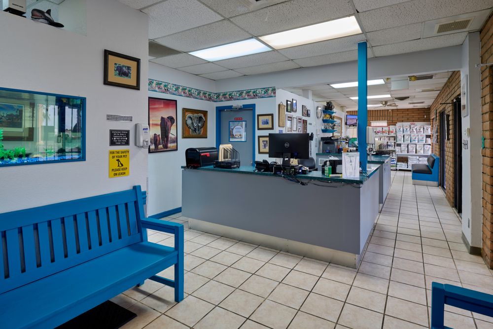 Country Club Animal Clinic - pet boarding facility in El Paso, TX