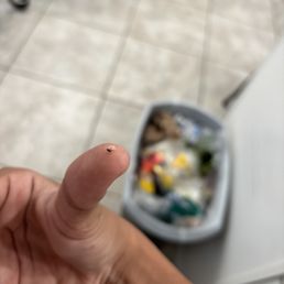 A bug a nat I found in the soup