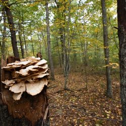 Boyden Wildlife Refuge