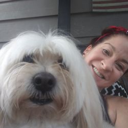 Carly's Cuddly Critter Care