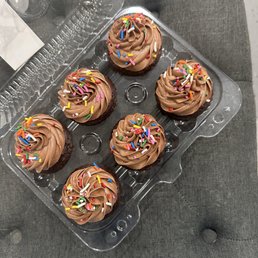 Chocolate cupcakes with choco frosting and rainbow sprinkles. Chocolate cupcakes with choco frosting and rainbow sprinkles.