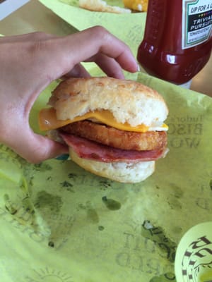 Tudor's Biscuit World by null