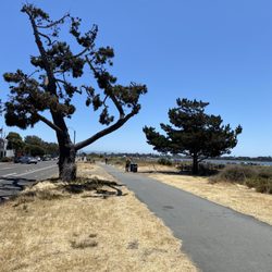Shoreline Trail