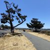 Shoreline Trail gift card