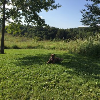 Prairie Moraine Dane County Parks - Dog Parks Near Me - Verona, Wisconsin Prairie Moraine Dane County Parks - Dog Parks Near Me - Verona, Wisconsin