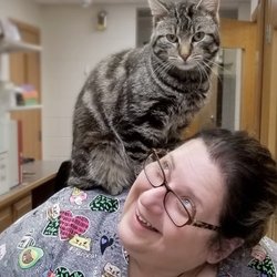 West Villa Animal Hospital