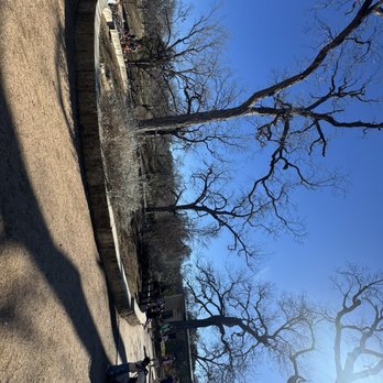 Barton Springs Pool - Swimming Pools Near Me - Austin, Texas