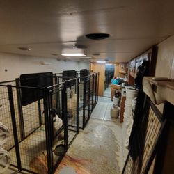 Best Friends and Hens - The inside of the rescue.