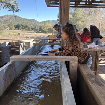 Julian Mining Company - Panning for gold! - Kids Activities Near Me - Julian, California Julian Mining Company - Panning for gold! - Kids Activities Near Me - Julian, California