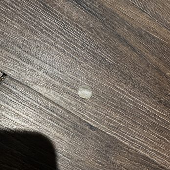 Tru by Hilton Bowling Green - Bandaid of some kind on the floor - Hotels Near Me - Bowling Green, Kentucky