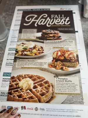 Another Broken Egg Cafe by null