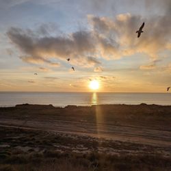 Las Flores View Point - Sunset January 2024
