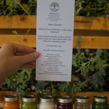 Wellness Tree - cleanse - Chiropractors Near Me - Spokane, Washington