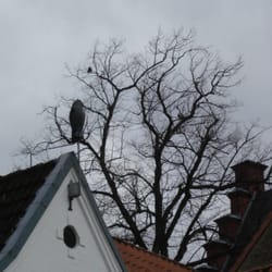 Nordermarkt