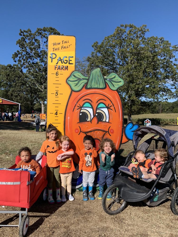 Mariposas Spanish Immersion Home Daycare - childcare center in Durham, NC