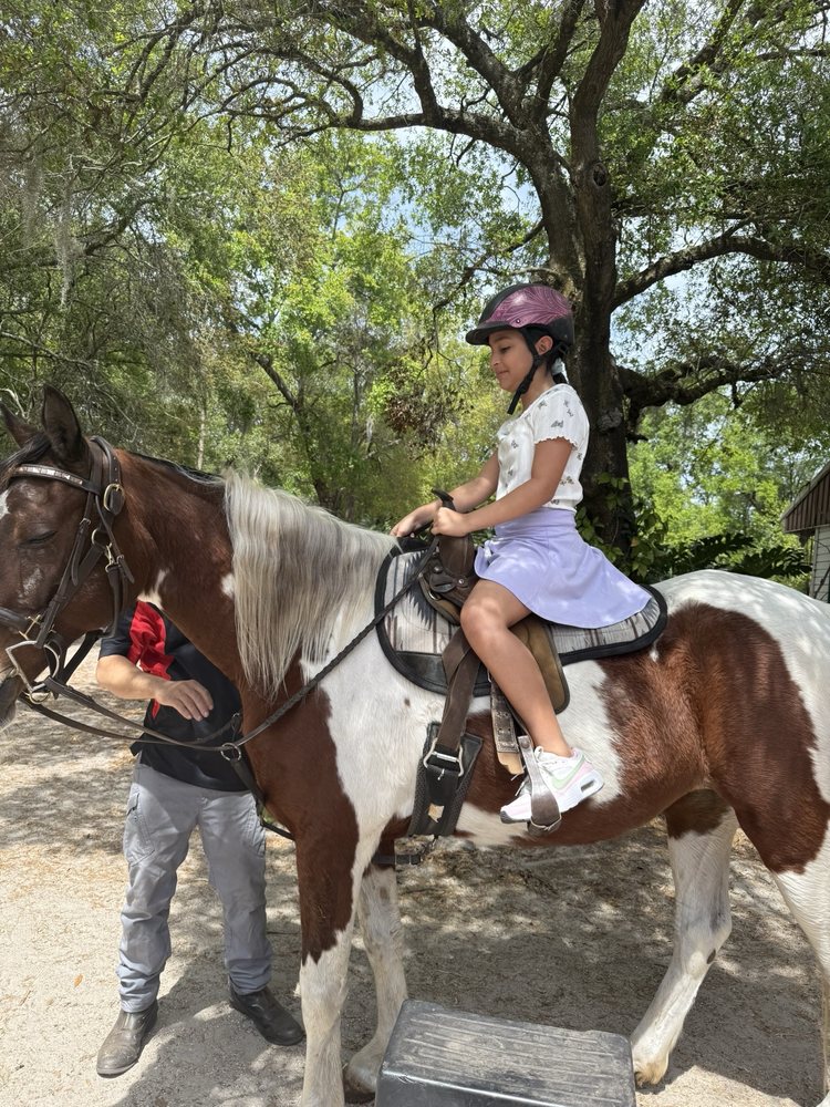 Equestrian Quest Stables - equestrian in Geneva, FL