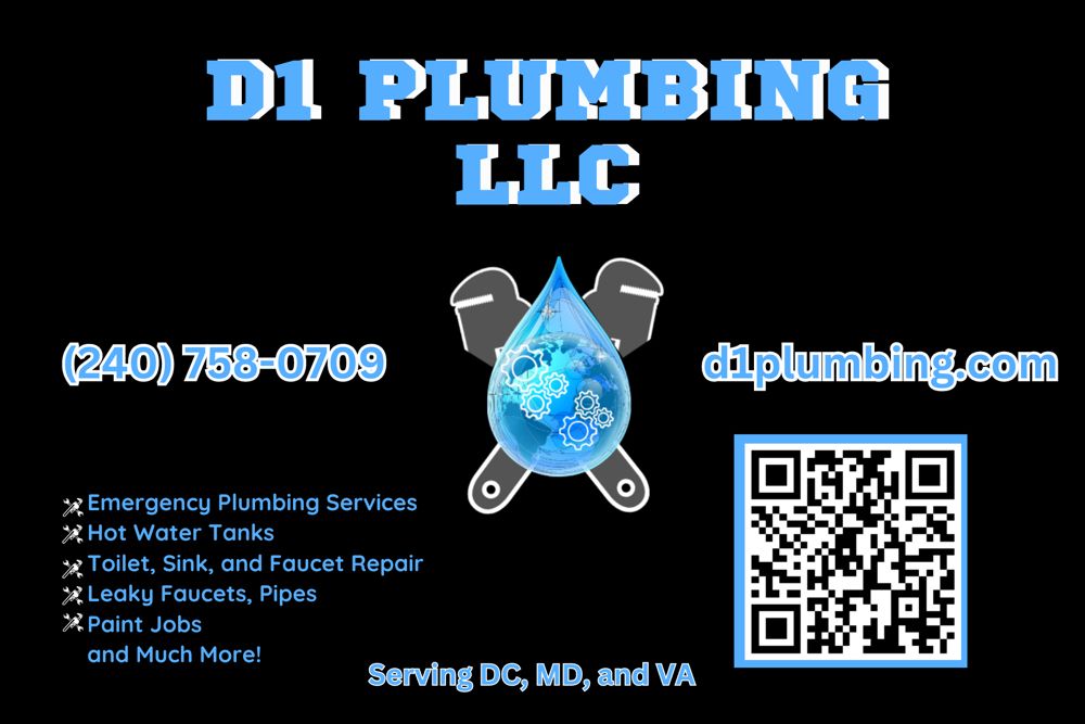 Slide of D1 Plumbing