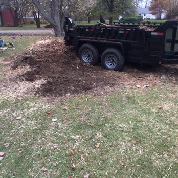 Icon Tree Services - Tree Services Near Me Icon Tree Services - Tree Services Near Me
