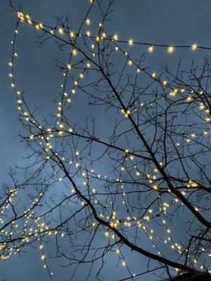 Azul Latin Kitchen by null