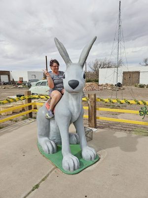 Jack Rabbit Trading Post, 3386 Old US 66, Joseph City, AZ 86032