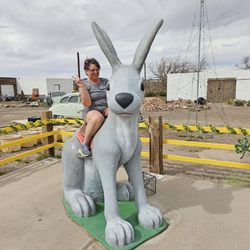 Jack Rabbit Trading Post