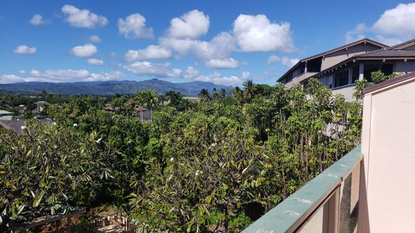 Poipu Plantation Vacation Rentals by null