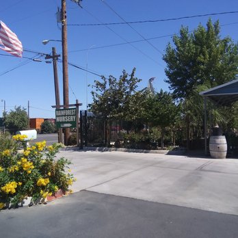 Rain Forest Nursery - Nurseries & Gardening Near Me - Manteca, California