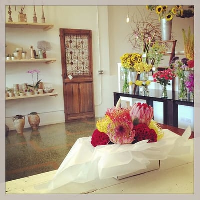 Marguerite Gardens Florist by null