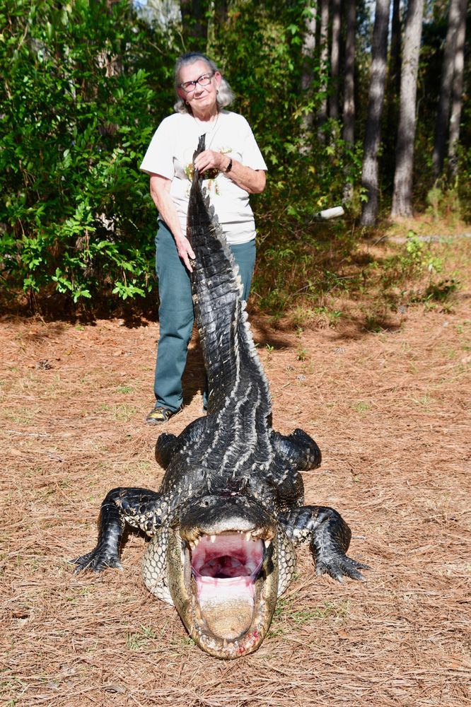 RED BLUFF LODGE Updated September 2024 61 Photos 130 Boone Trl