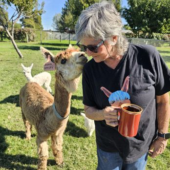 Sandollar Farms - So fun! - Attraction Farms Near Me - Kennewick, Washington Sandollar Farms - So fun! - Attraction Farms Near Me - Kennewick, Washington