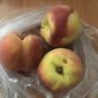 Photo of Gunkel Orchards & Fruit Stand