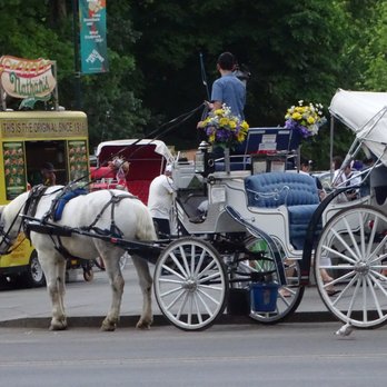 Central Park Conservancy - Parks Near Me - New York, New York