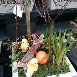 Plantorama