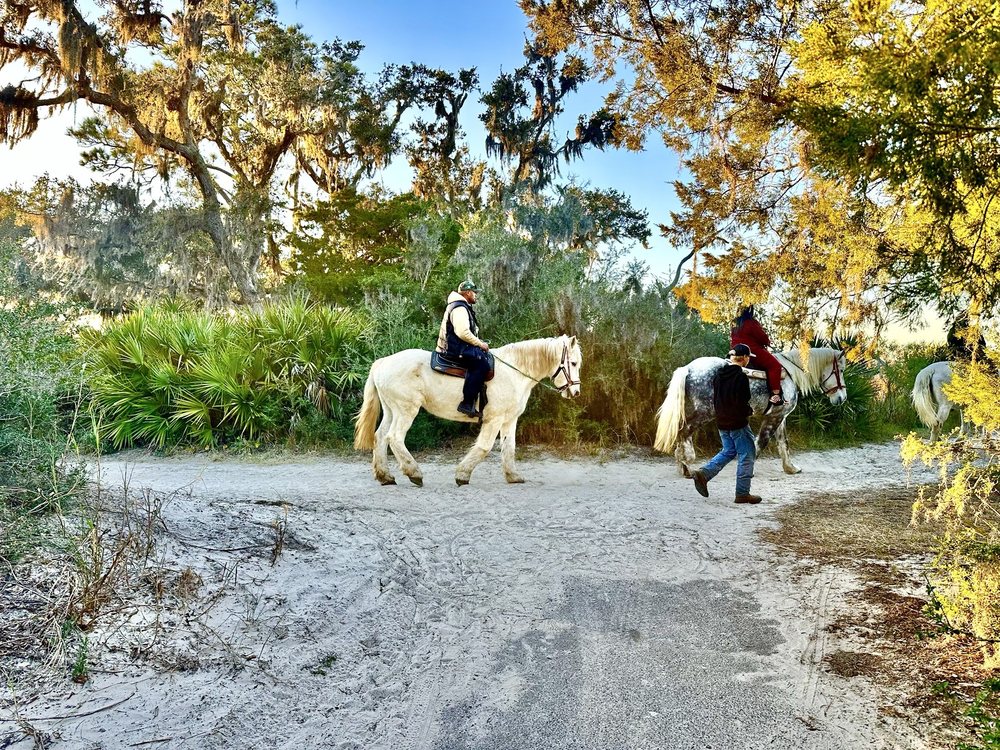 Three Oaks Stables - equestrian in Brunswick, GA