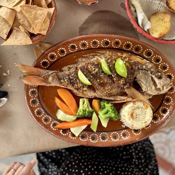 Melissa's - Red snapper! Delicious - Seafood Near Me - Puerto Vallarta, JAL Melissa's - Red snapper! Delicious - Seafood Near Me - Puerto Vallarta, JAL