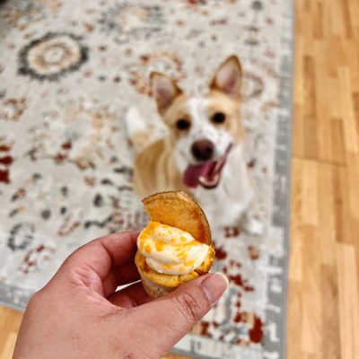 Amelie's Bark Shop by null