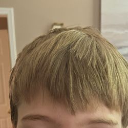 Great Clips
