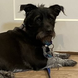 Bastrop Veterinary Hospital