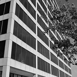 One Woodfield Place Endodontics