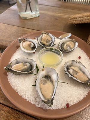 Envero en el Valle by null