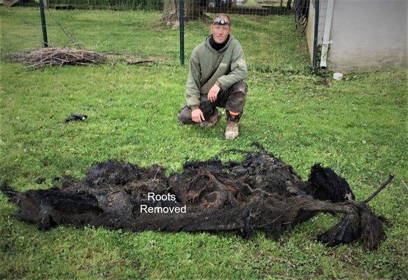 Fins Environmental Service