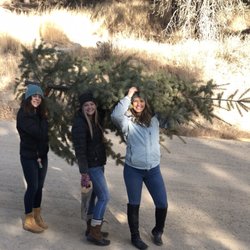 Idaho City Grocery - We found the dreamiest Christmas tree! (Got our tree permit at this grocery store - only $10 cash!!)