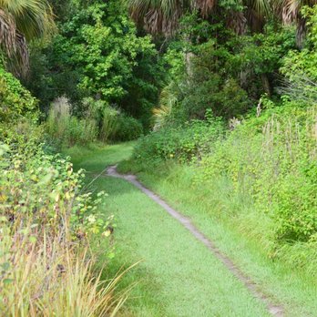 Alafia River State Park - Hiking Near Me - Lithia, Florida
